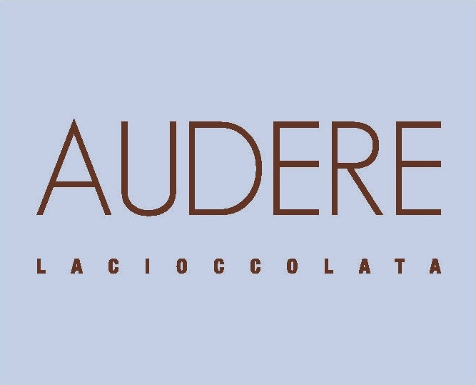 Logo AUDERE